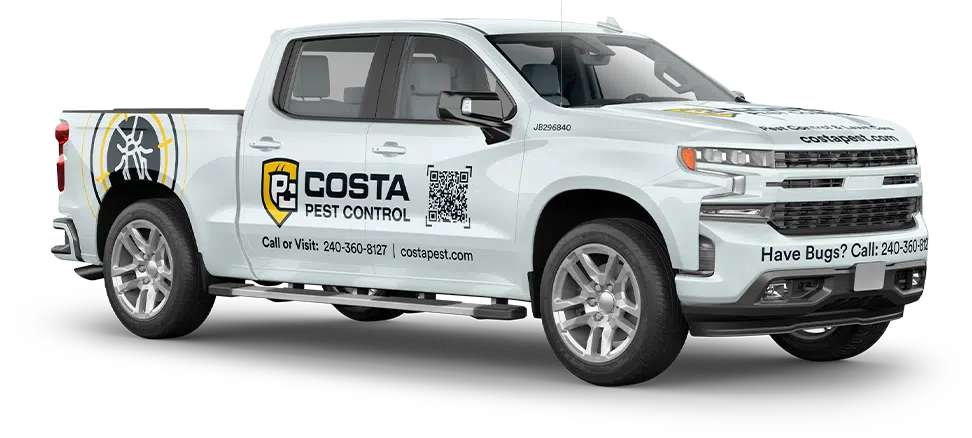 Costa Car