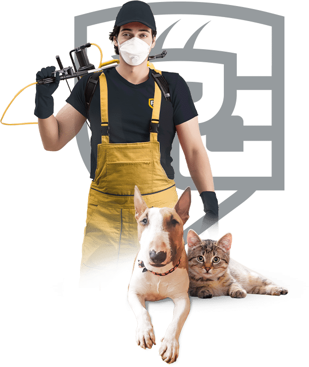 Pet Friendly Pest Control Services