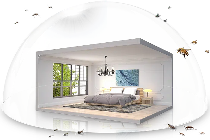 Model House