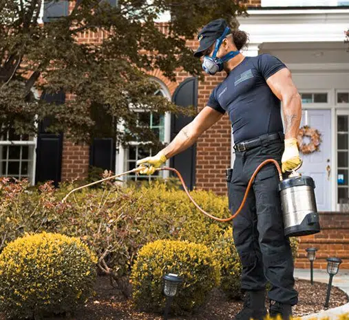 Precision Lawn Care