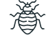 Bed Bugs