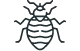 Bed Bugs