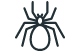 Black Widow Spiders