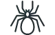 Black Widow Spiders