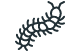 Centipedes
