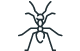 House Ants