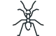 House Ants