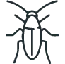 Visible Roaches