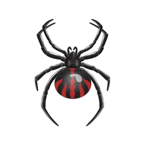 Black Widow Spider Illustration